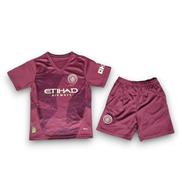 Manchester City Alternative Shirt 2024 2025