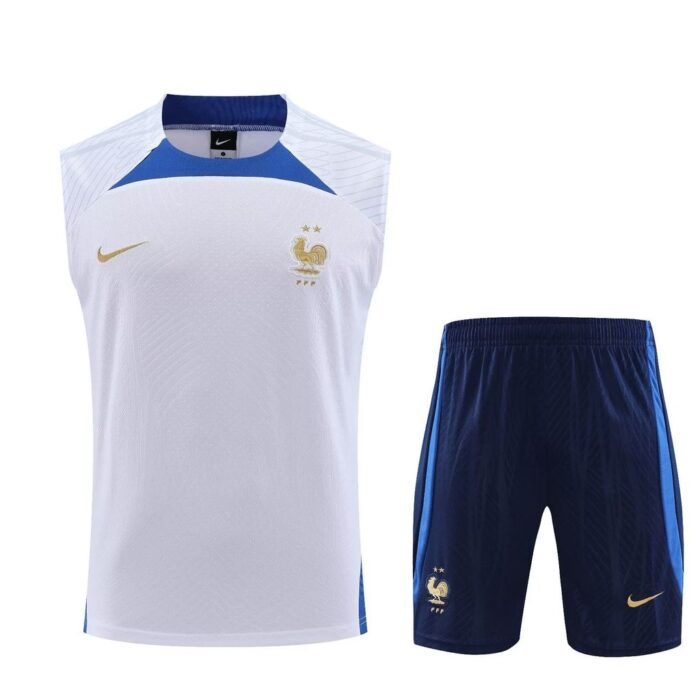 France Away Training Set 2022 2023