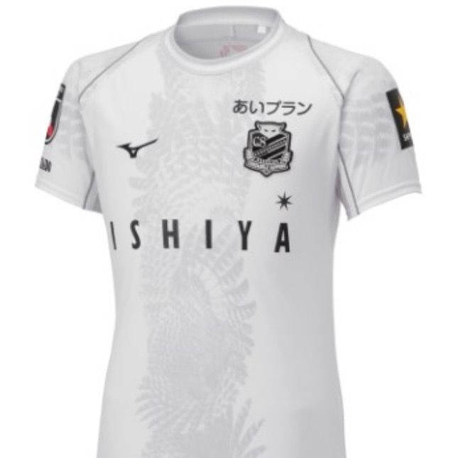 Hokkaido Consadole Sapporo  Alternative Shirt 2023 2024