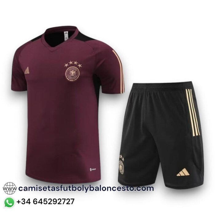 Germany Away Training Set 2023 2024