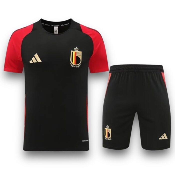 Belgium Away Training Set 2024 2025