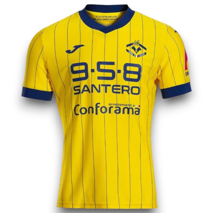 Hellas Verona Alternative 2 Shirt 2024 2025