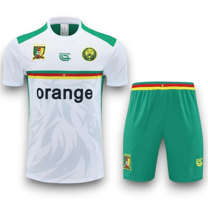 Cameroon Training Set 2025 2026